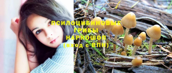 синтетический гашиш Богородицк