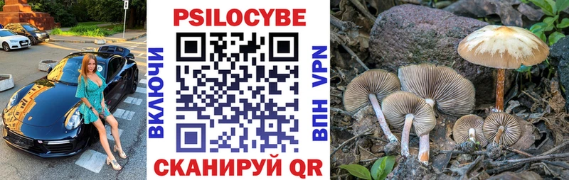 Псилоцибиновые грибы GOLDEN TEACHER  Кораблино 